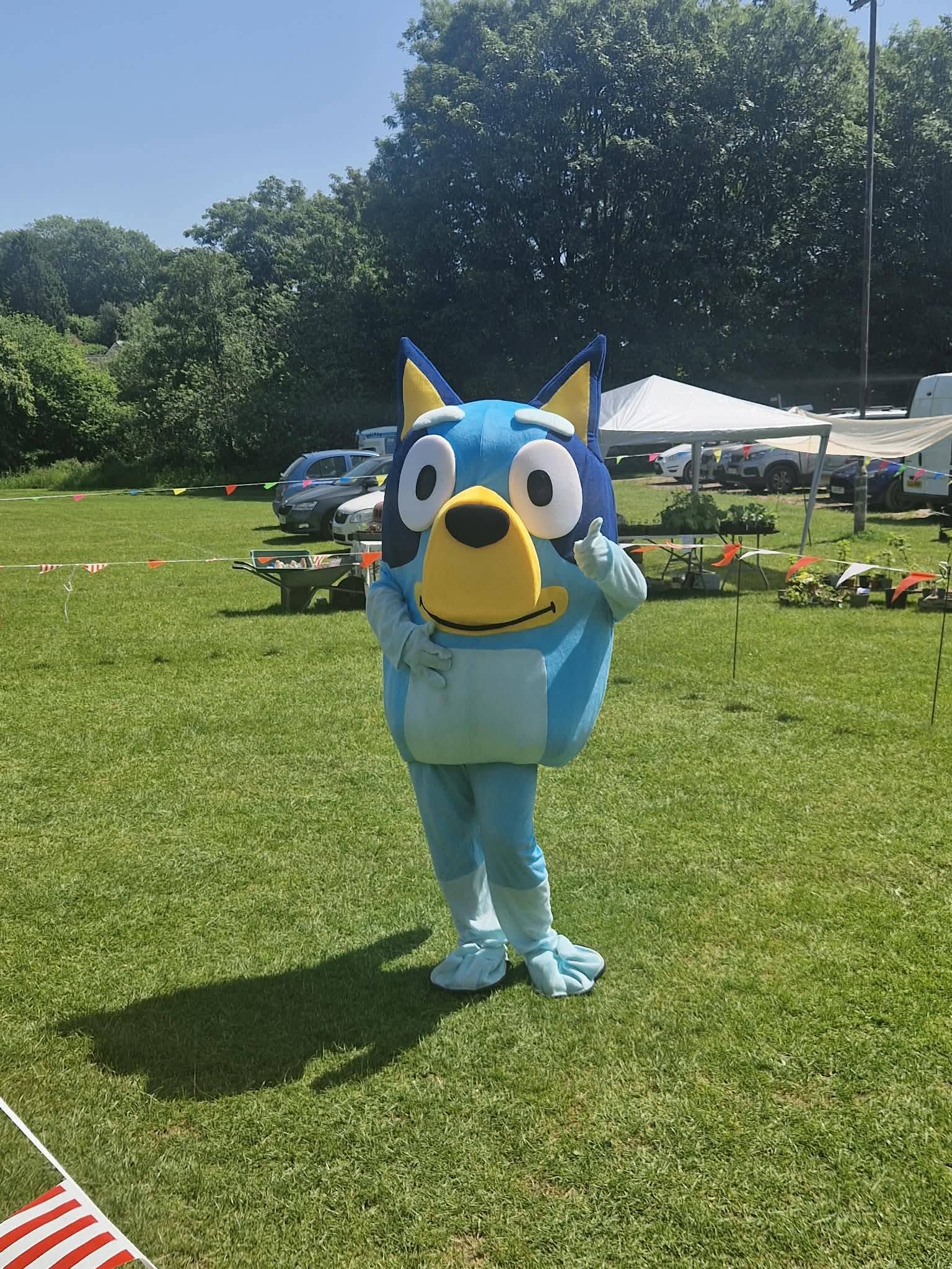 Bluey character mascot at an outdoor event