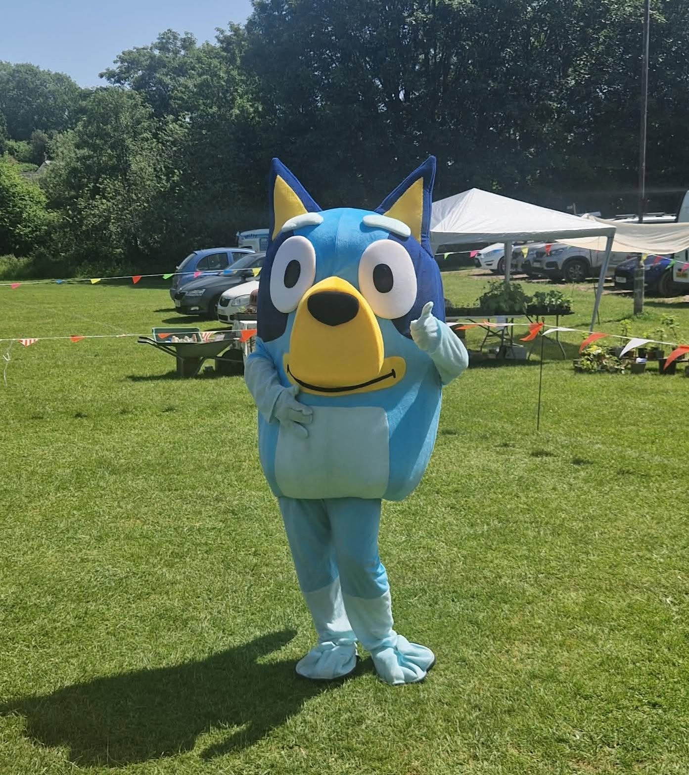Blue cat character mascot at an outdoor event